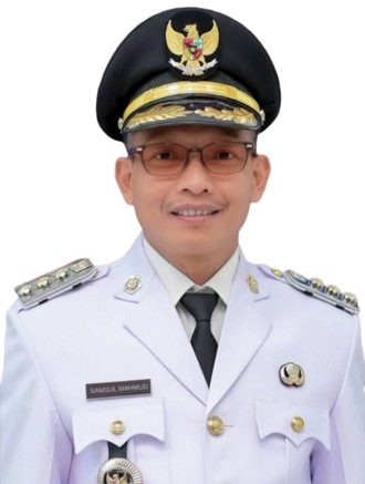 H. Samsul Mahmud