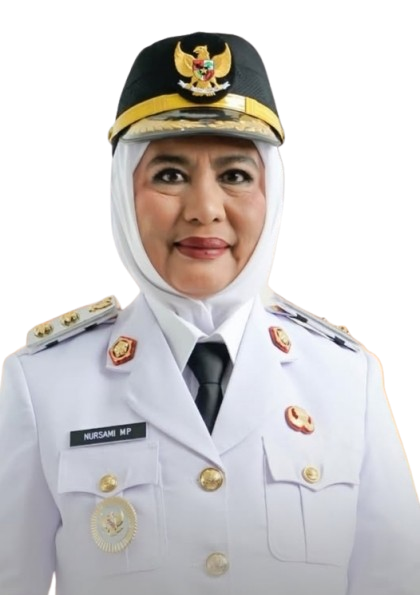 Hj. Andi Nursami Masdar